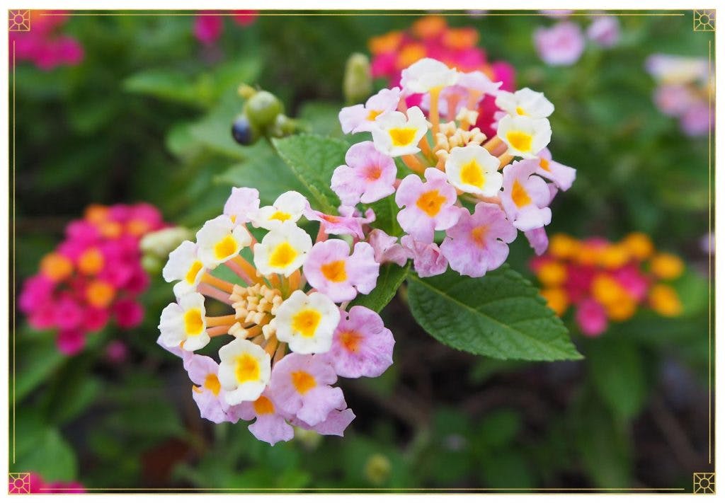  20 Heat-Tolerant Plants That Will Thrive in Hot Summers