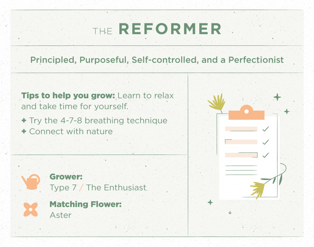 Type 1: The Reformer