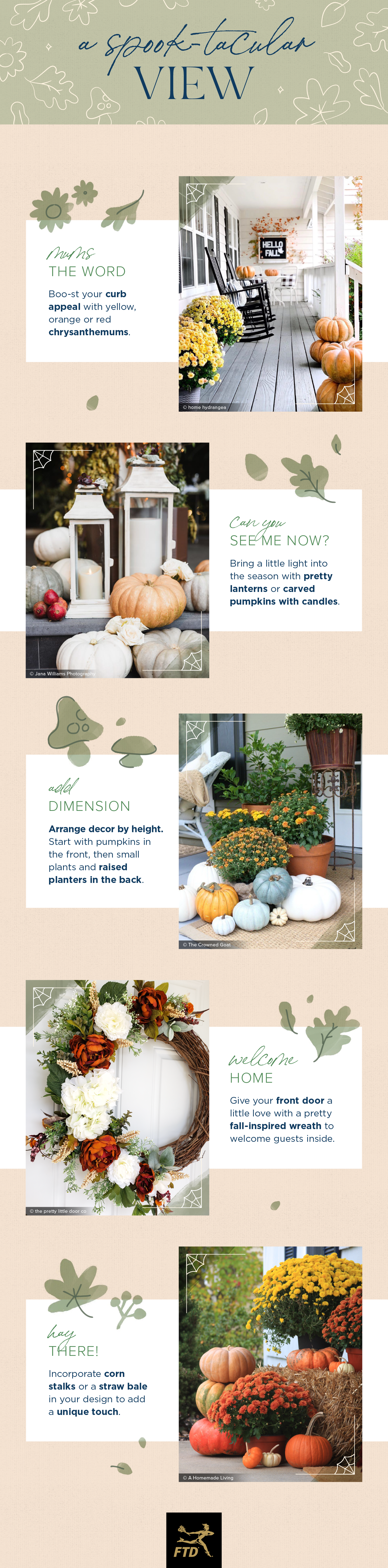 Classy Halloween Plant Decor Ideas + Printable Pumpkin Carving Stencils