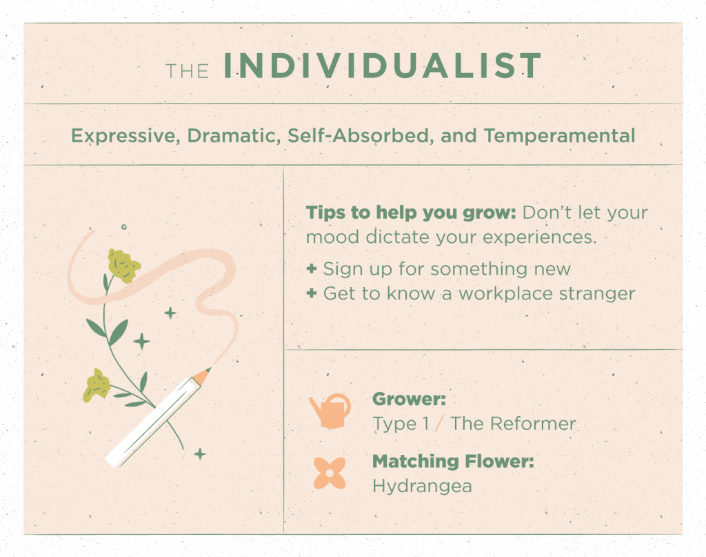 Type 4: The Individualist