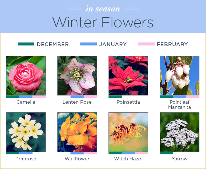 What Flowers Are In Season? - FTD.com