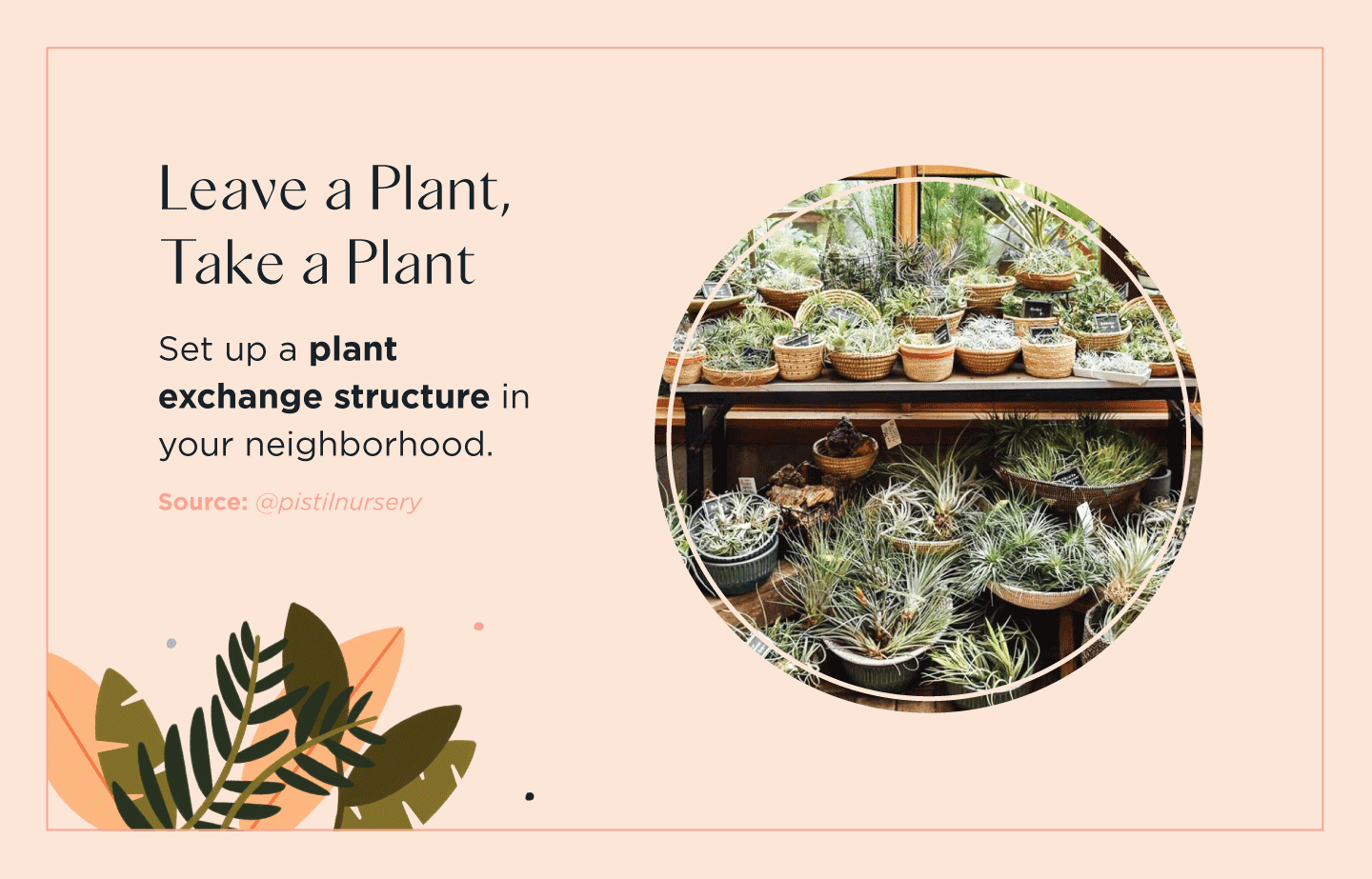 Your Guide To Hosting A Neighborhood Plant Swap FTD your-guide-to-hosting-a-neighborhood-plant-swap-ftd