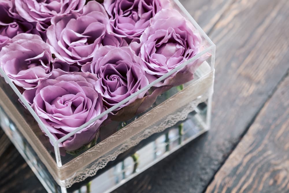How to Preserve a Rose: Keep Flowers Forever Fresh | FTD