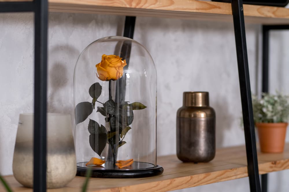 How to Preserve a Rose: Keep Flowers Forever Fresh | FTD